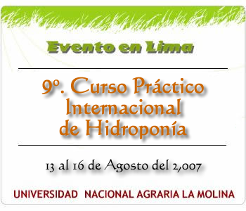 9 Curso Práctico de Hidroponía